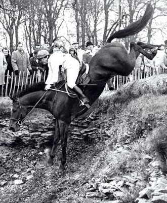 Celia Ross-Taylor - Badminton Horse Trials